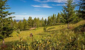 43 Elk Meadows Ln, Anaconda, MT 59711