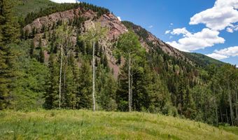 640 S Hayden Rd, Aspen, CO 81611