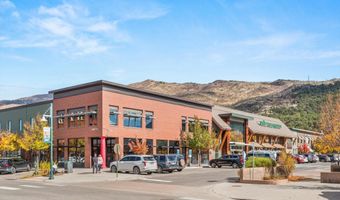 231 Robinson St 302, Basalt, CO 81621