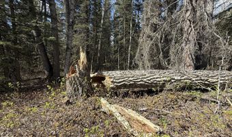 19396 N Fish Lake Rd, Chickaloon, AK 99674