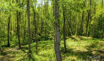 9999 Bee Balm Way 55, Asheville, NC 28804