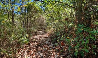 Private Drive 4755, Ava, MO 65608