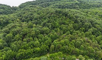 5 Lots Fortunato Dr, Baneberry, TN 37890