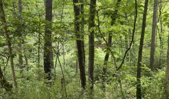 6387 W County Road 76-436, Ava, MO 65608