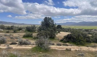 56795 Cain Rd, Anza, CA 92539