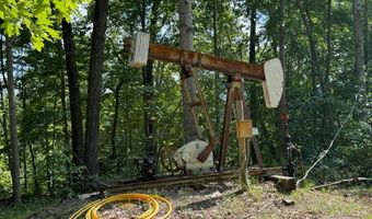 700 Acres Puncheon Creek Ln, Allred, TN 38542