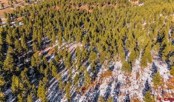 TBD Lot 11 Beaver Creek Ranch Drive, Bayfield, CO 81122
