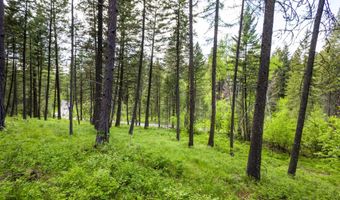 616 Ranch Rd, Bigfork, MT 59911