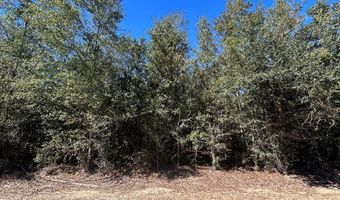 20 Ac Coot Adams Rd, Ashford, AL 36312
