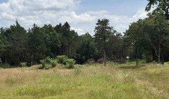 N Highway 167, Bald Knob, AR 72010