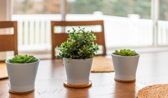 9333 Butterfly Ct, Allendale, MI 49401