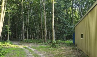 212 3rd Ave, Alden, MI 49646