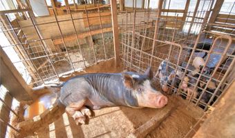 715 FAZZINI Rd, Babson Park, FL 33827