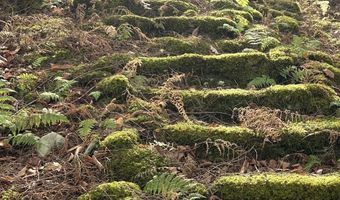 239 Sundale Rd, Accord, NY 12404