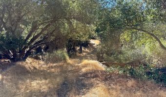 41902 Woodward Way, Ahwahnee, CA 93601