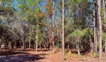 2629 NW 29th Ter, Bell, FL 32619