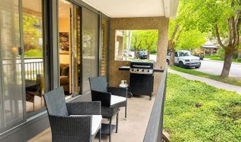 800 E Hopkins Ave A-1, Aspen, CO 81611