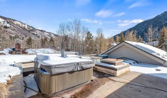 990 E Hopkins Ave, Aspen, CO 81611