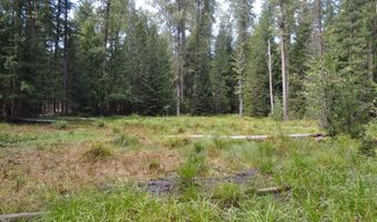 Nna 196 Acres Hwy 95, Bonners Ferry, ID 83805