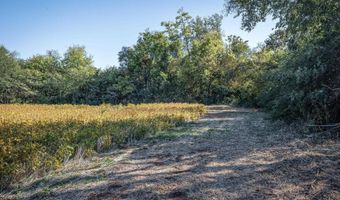 7 Acres Snake Rd, Athens, AL 35611