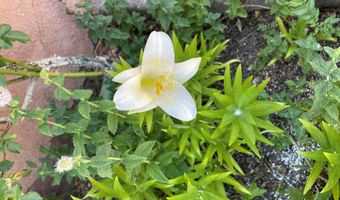 536 Coronado Dr, Bernalillo, NM 87004