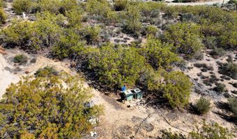 38007 Tripp Flts, Anza, CA 92539