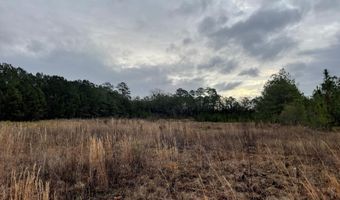 Lot 9 Sumrall Rd, Columbia, MS 39429
