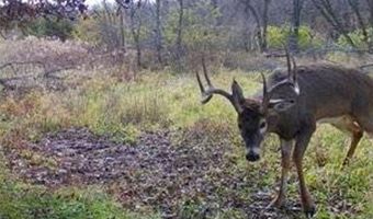 652 Nd St, Albia, IA 52531