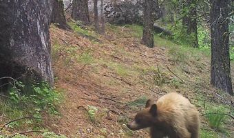 L16 B1 Lantern Way lot 16, Cascade, ID 83611
