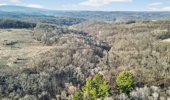 271 18 Acres Zwettler/Foster Rd, Arena, WI 53503