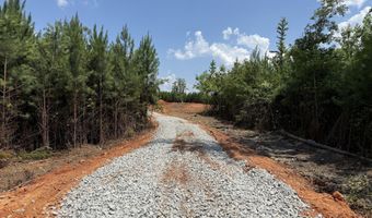 Lot 2 Silver Dollar, Barnesville, GA 30204
