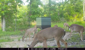80 N4130 Rd, Antlers, OK 74523