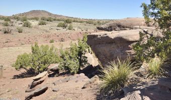 32 N8429, Concho, AZ 85924