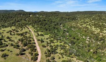 Old Homestead Ln, Beulah, CO 81023