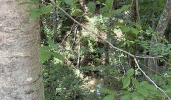 643 Pine Grove Rd, Beattyville, KY 41311