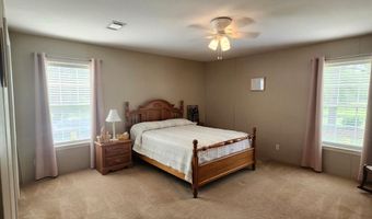 786 Blackberry Rd, Baconton, GA 31716
