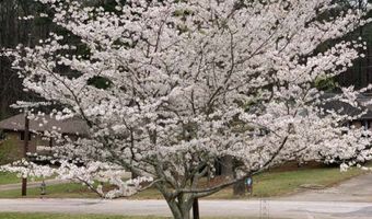 2095 Gherry, Austell, GA 30106