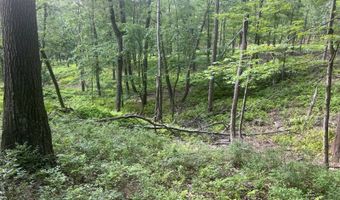 242 Brush Mountain Rd, Altoona, PA 16601