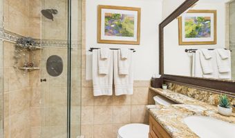 593 Meadowood Dr, Aspen, CO 81611