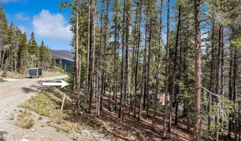 158 N ASPEN St, Alma, CO 80420