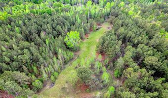 6995 Cobbham Rd, Appling, GA 30802