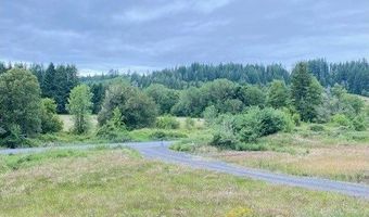 67640 NEVERSTILL Rd, Birkenfeld, OR 97016