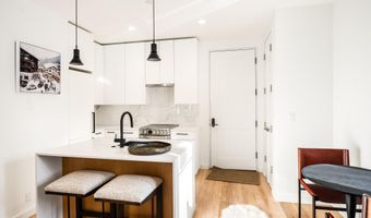 501 W Main St A101, Aspen, CO 81611