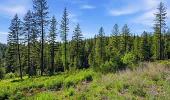 NNA Stone Rd Lot 2 20.0 Acres, Blanchard, ID 83804