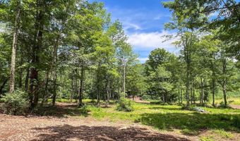 Woodland Hills Road, Andes, NY 13731