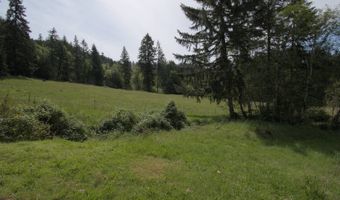 18140 Highway 36, Blachly, OR 97412