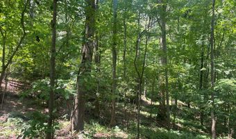 2049 Henry Scott Rd-LOT C 2.3 Acres, Ball Ground, GA 30107