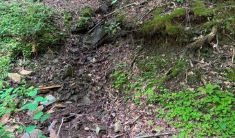 88 Acres Bolden Br, Andrews, NC 28901