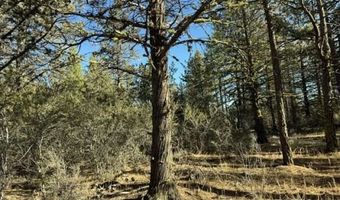 Bunting Drive, Bonanza, OR 97623