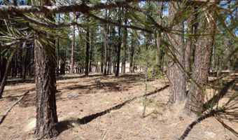 8 B County Road 2267 Escudilla Rd, Alpine, AZ 85920